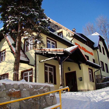 Willa Slonecznik Карпач Экстерьер фото
